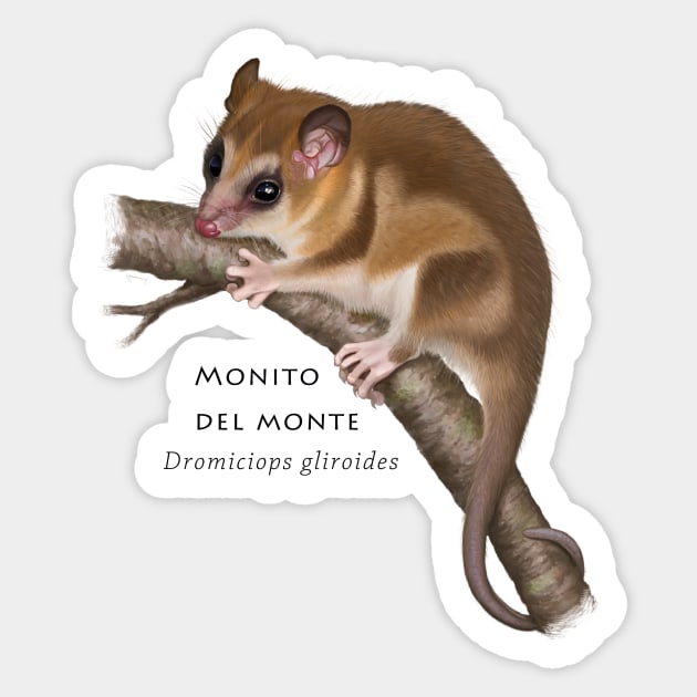 colocolo opossum Sticker by uialwen